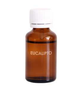 EUCALIPTO – eukalyptus